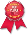 pledge-icon